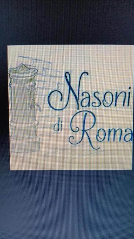 Nasoni Di Roma Aparthotel Eksteriør bilde