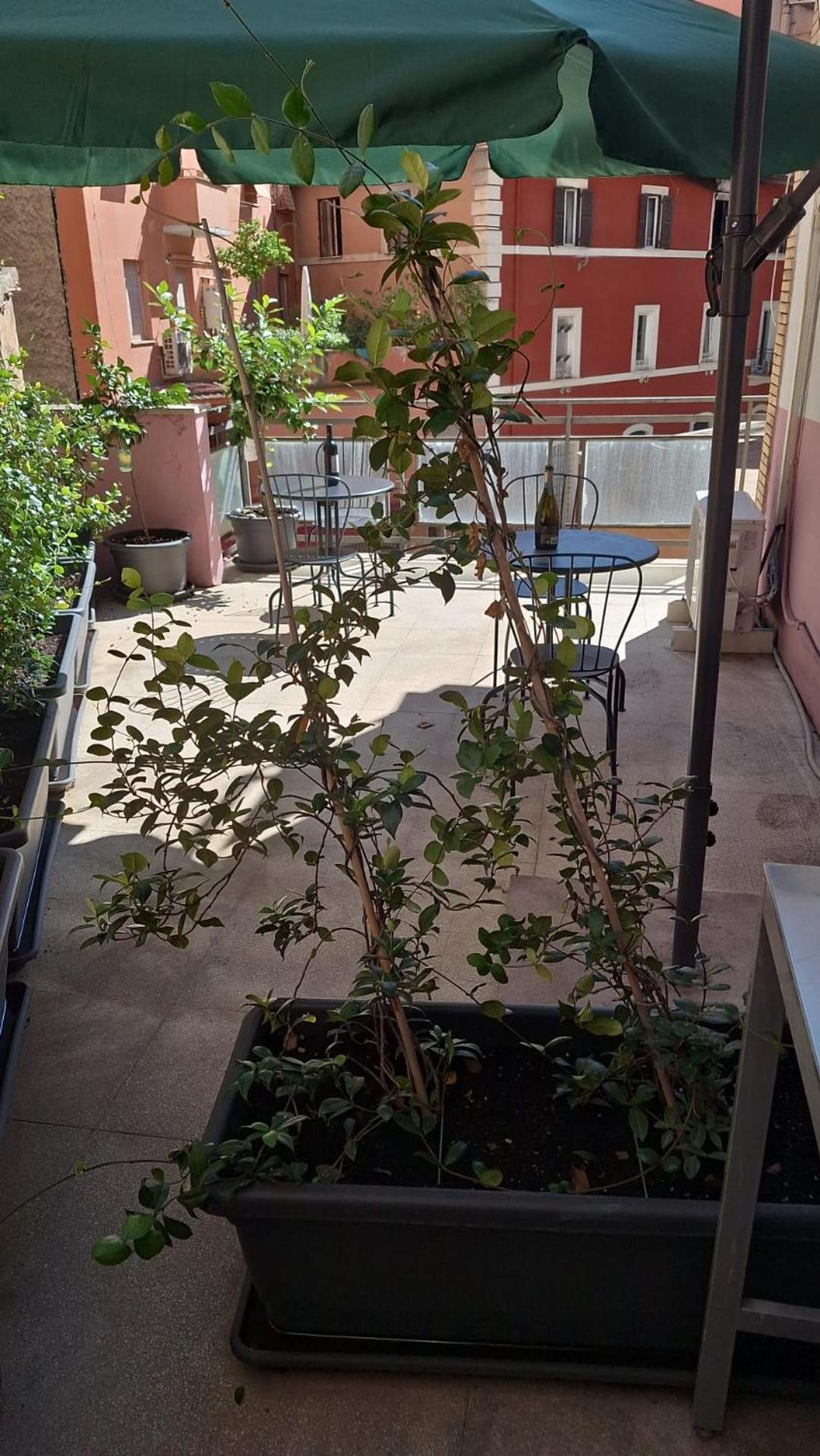 Nasoni Di Roma Aparthotel Eksteriør bilde